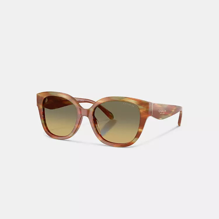 Square Sunglasses | Coach (US)