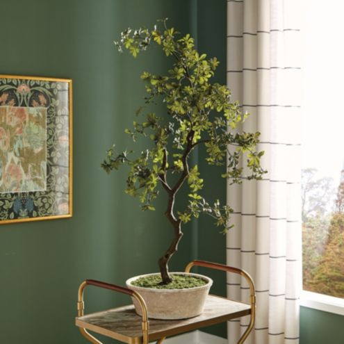 Faux Potted Gypsophilia Plant | Ballard Designs, Inc.