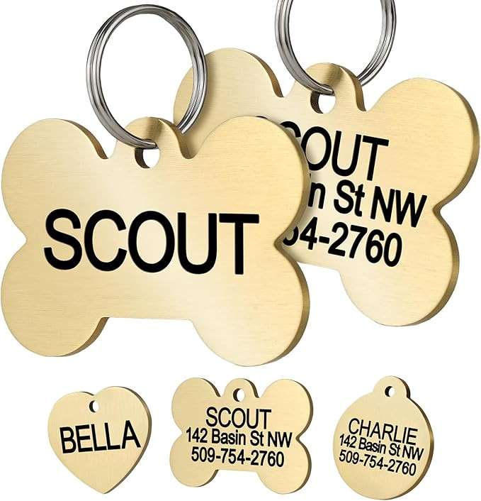 GoTags Personalized Pet ID Tags, Solid Brass Dog Tags and Cat Tags, up to 6 Lines of Custom Text,... | Amazon (US)