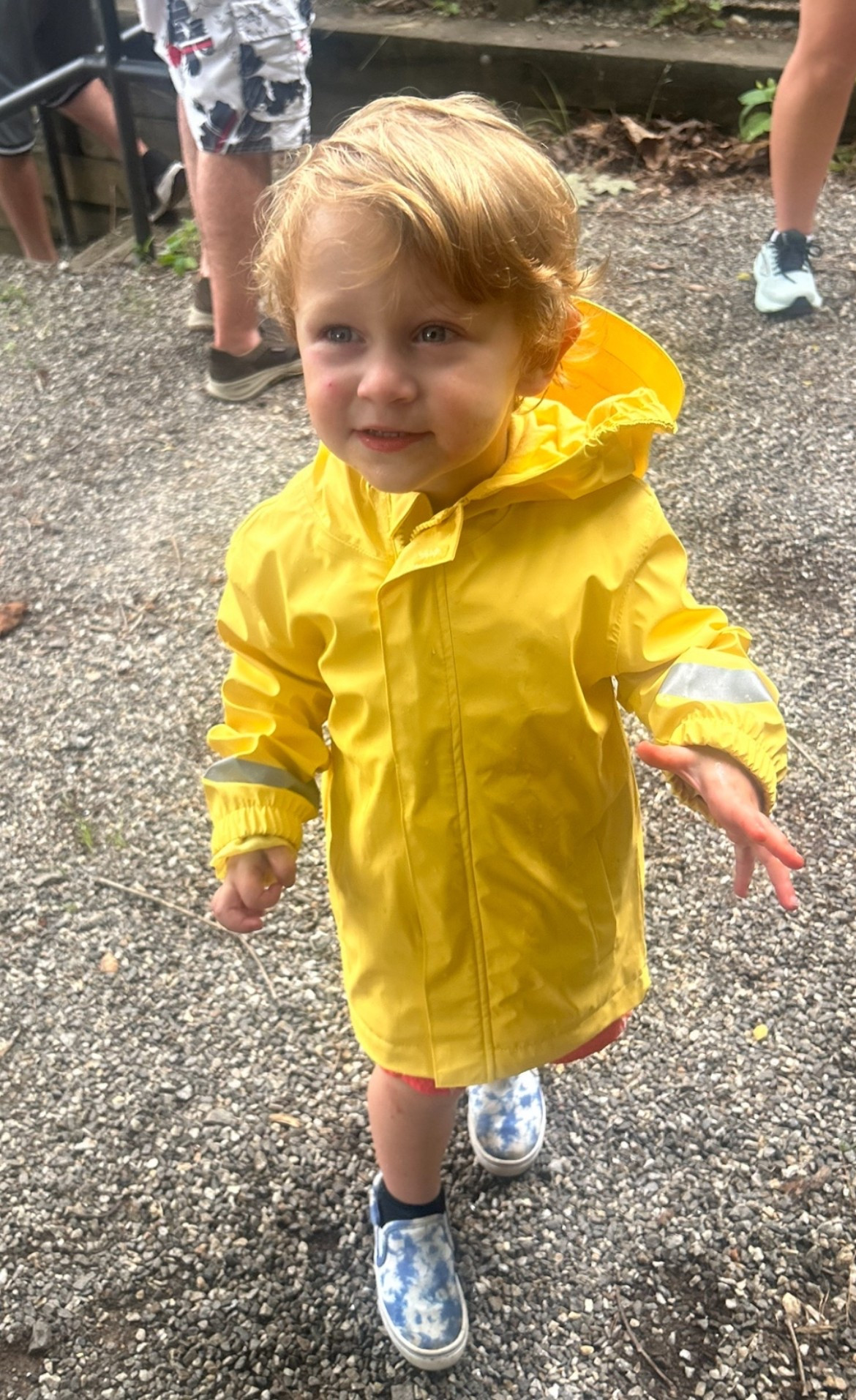 Nothing better than a good old fashioned rain jacket for a rainstorm 🙌☔️⛈️ 

Rain Jacket, Toddler Style, Toddler Rain Jacket, Toddler Boy Fashion

#LTKFamily #LTKBaby #LTKKids