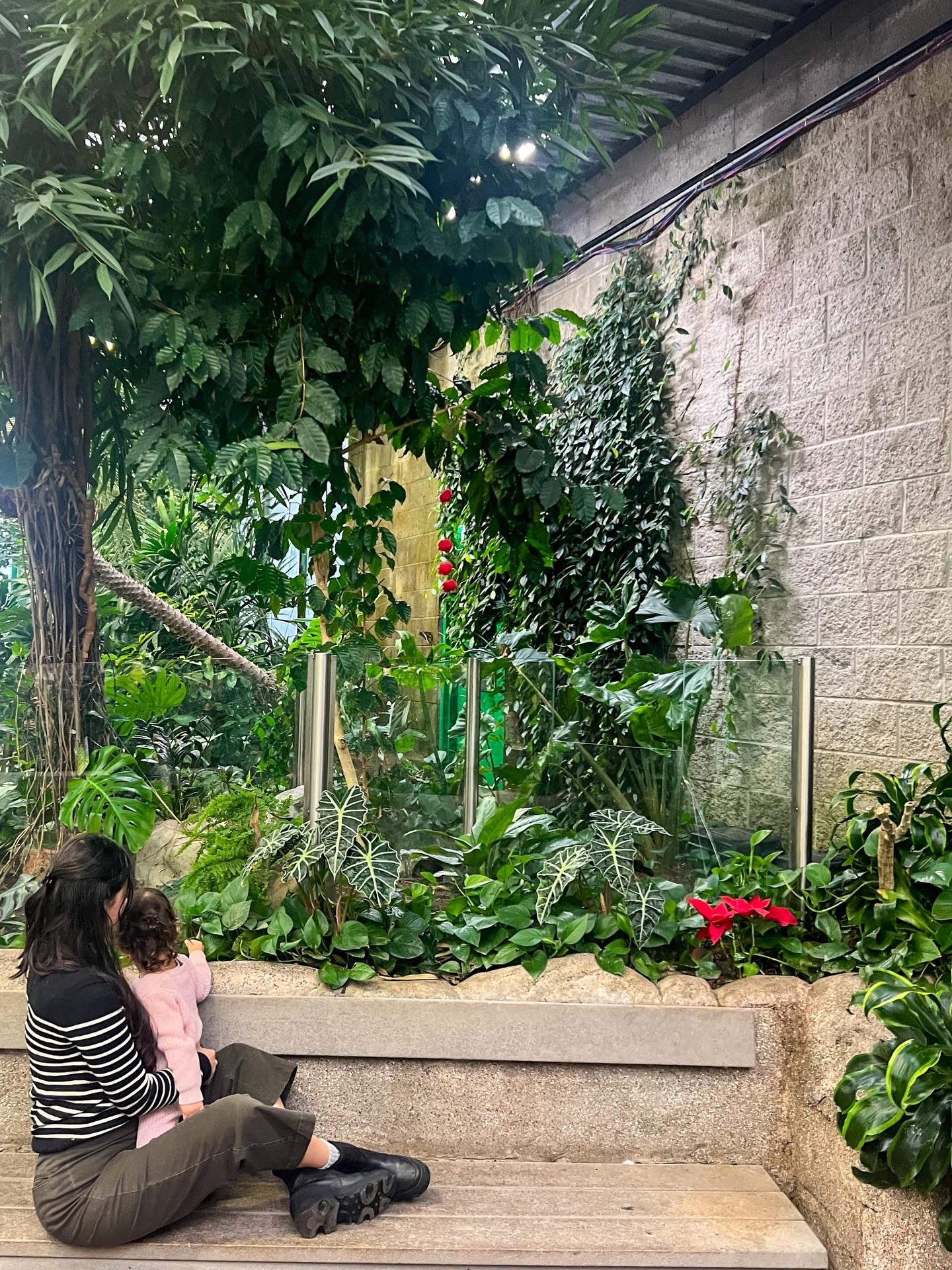 If you’ve been looking for that one sweater… this is your sign 🤍✨ 

We spent a morning at the Victoria Butterfly Gardens—warm, lush, a little escape from reality 🌿🦋 
And I threw this on without thinking… but ended up wearing exactly what I needed. 

This knit from @unboundmerino is THAT piece: 
• insanely soft (like… you won’t want to take it off) 
• breathable but still cozy (no overheating 🙌) 
• effortless “put together” without trying 

The kind of sweater you wear on slow mornings, travel days, coffee runs… and somehow always feel good in 🤍 

And here’s the thing… I’ve been reaching for it on repeat (which says everything). Fewer pieces, better quality ✨ 

If you’re building a capsule wardrobe or want something you’ll actually wear nonstop—this is it. 
🔗 link in the bio - ShopMy
✨ Save this for later 
✨ Send it to a friend who lives in cozy knits 
✨ Comment NEUTRAL or COLOR—I want to know your vibe 👇 

#unboundmerino #cozystyle #effortlessstyle #capsulewardrobe #momstyle

#LTKfamily #LTKgiftguide #LTKtravel