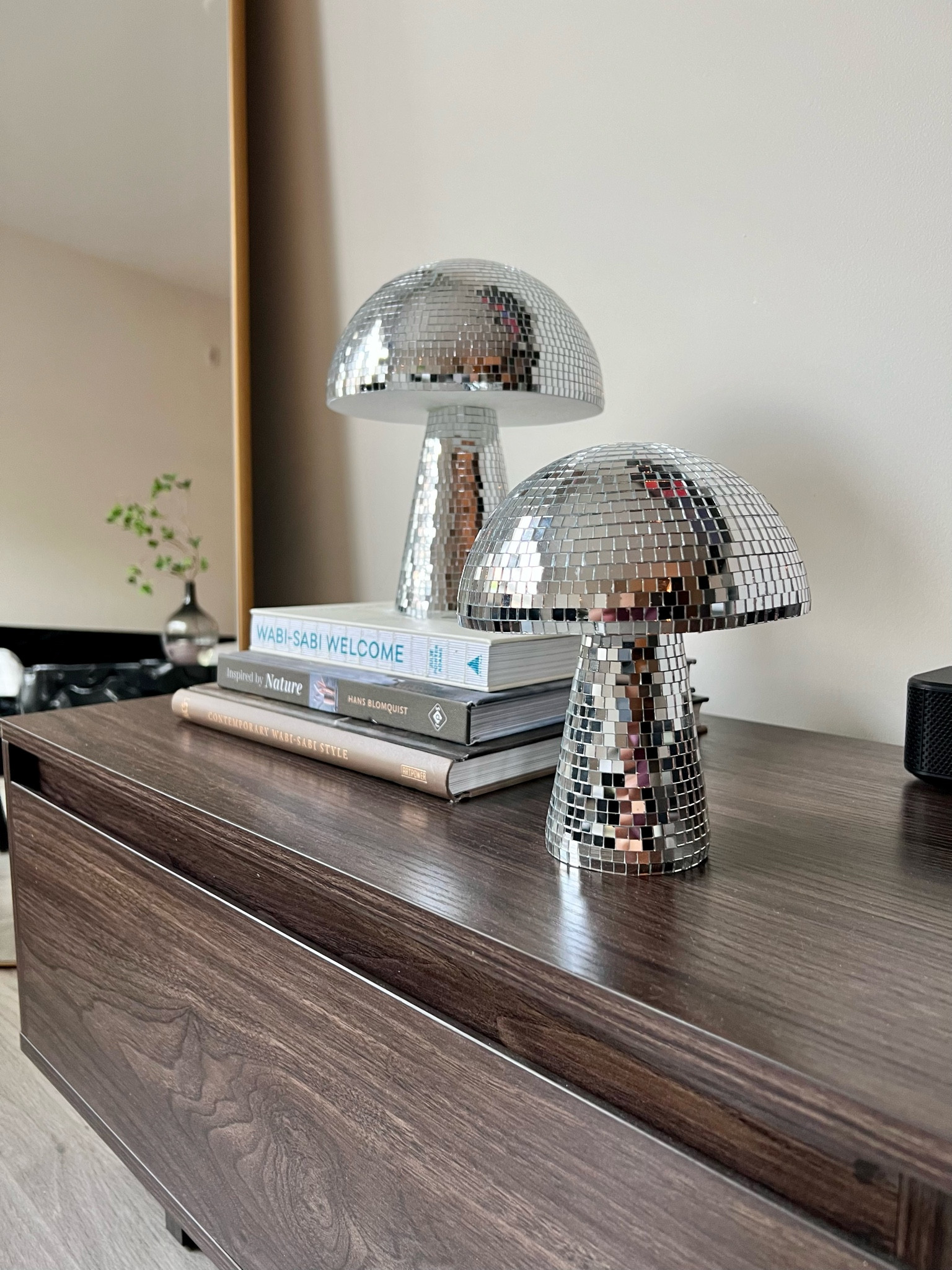 Disco Mushroom Decor🍄

#LTKunder50 #LTKunder100 #LTKhome