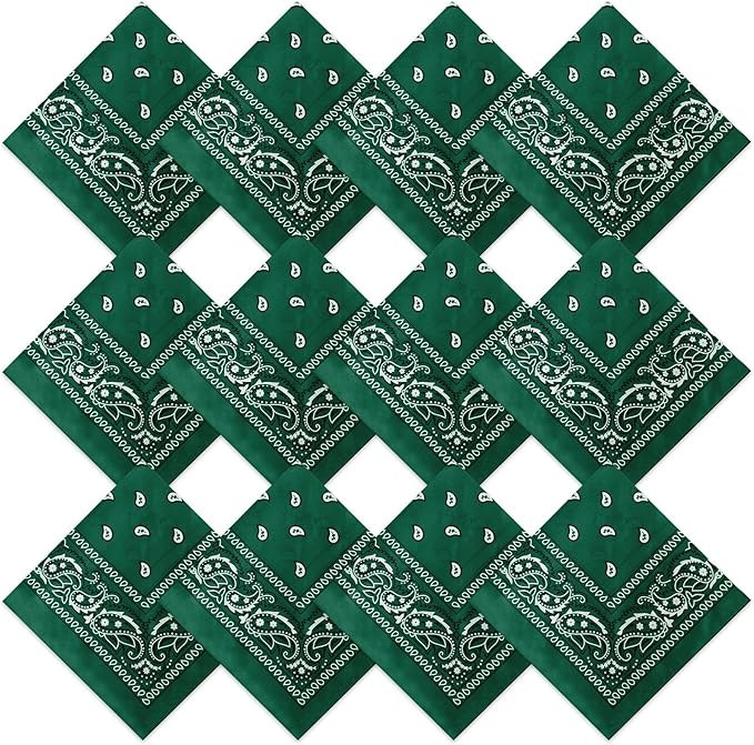 12 Pcs Bandanas Bulk for Women Men 22 x 22 Inch Paisley Headband Cowboy Handkerchief Summer Beach... | Amazon (US)