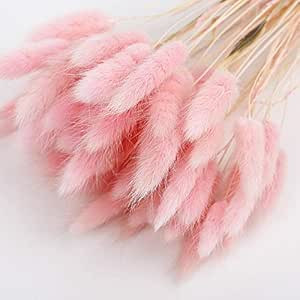 50PCS Home Decoration Lagurus Ovatus Rabbit Tail Dried Flowers, Real Flower, Eternal Flower Dried... | Amazon (US)