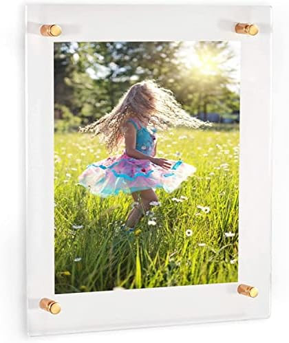 Acrylic Floating Frames Gold Standoffs(single) 9" x 12" Clear Acrylic Frames for Wall Mount Float... | Amazon (US)