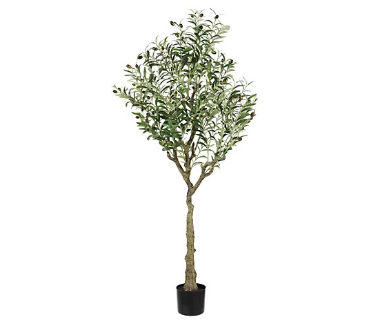 Safavieh Faux Olive 60" Potted Tree | QVC