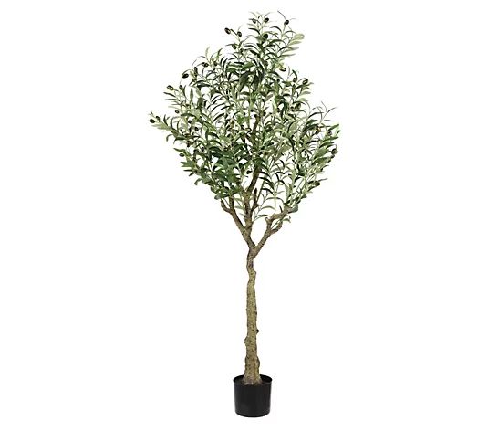 Safavieh Faux Olive 60" Potted Tree | QVC