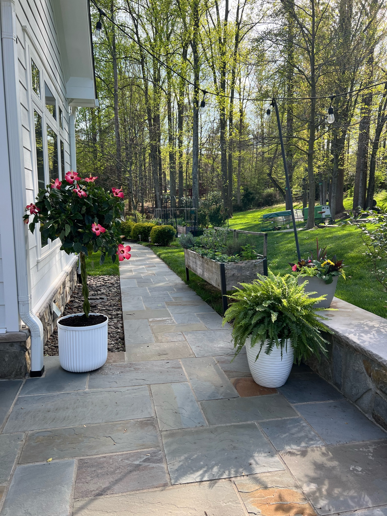 Spring Patio Refresh with new pots and plants 

#LTKSeasonal