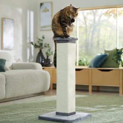 Frisco 33.5-in Sisal Cat Scratching Post | Chewy.com