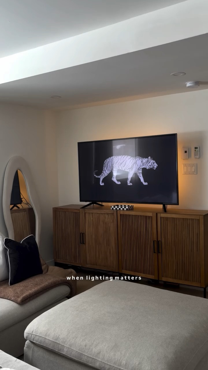 lighting does matter … 🐅🤎✨