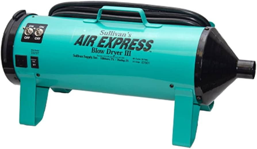 Sullivan Supply Air Express III Blower Teal | Amazon (US)