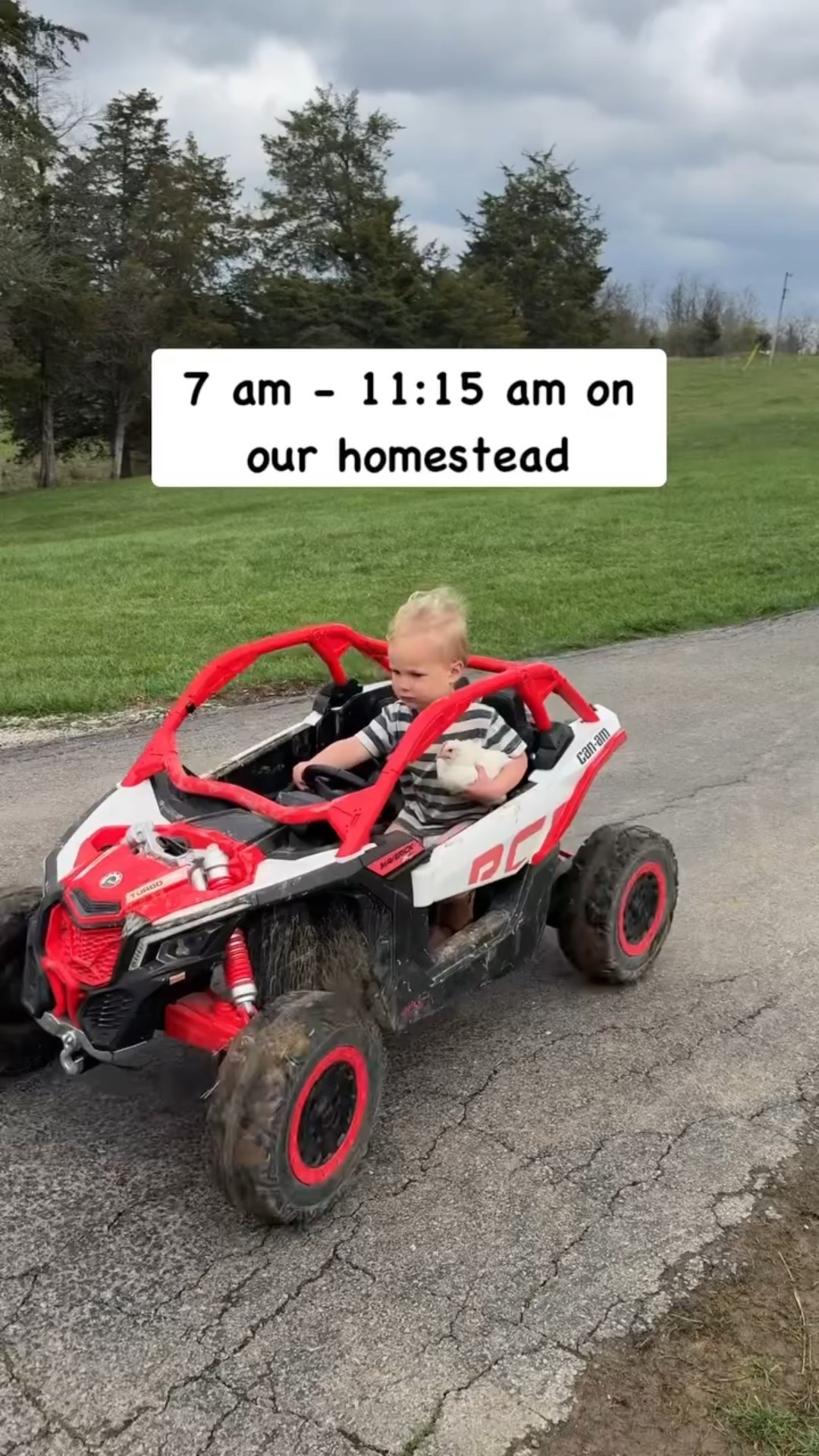 Spend the morning with us 🤩 

#homesteadingmama #homesteading #simpleliving #naturalliving #farmtotable #homecooking #fyp #dairysheep