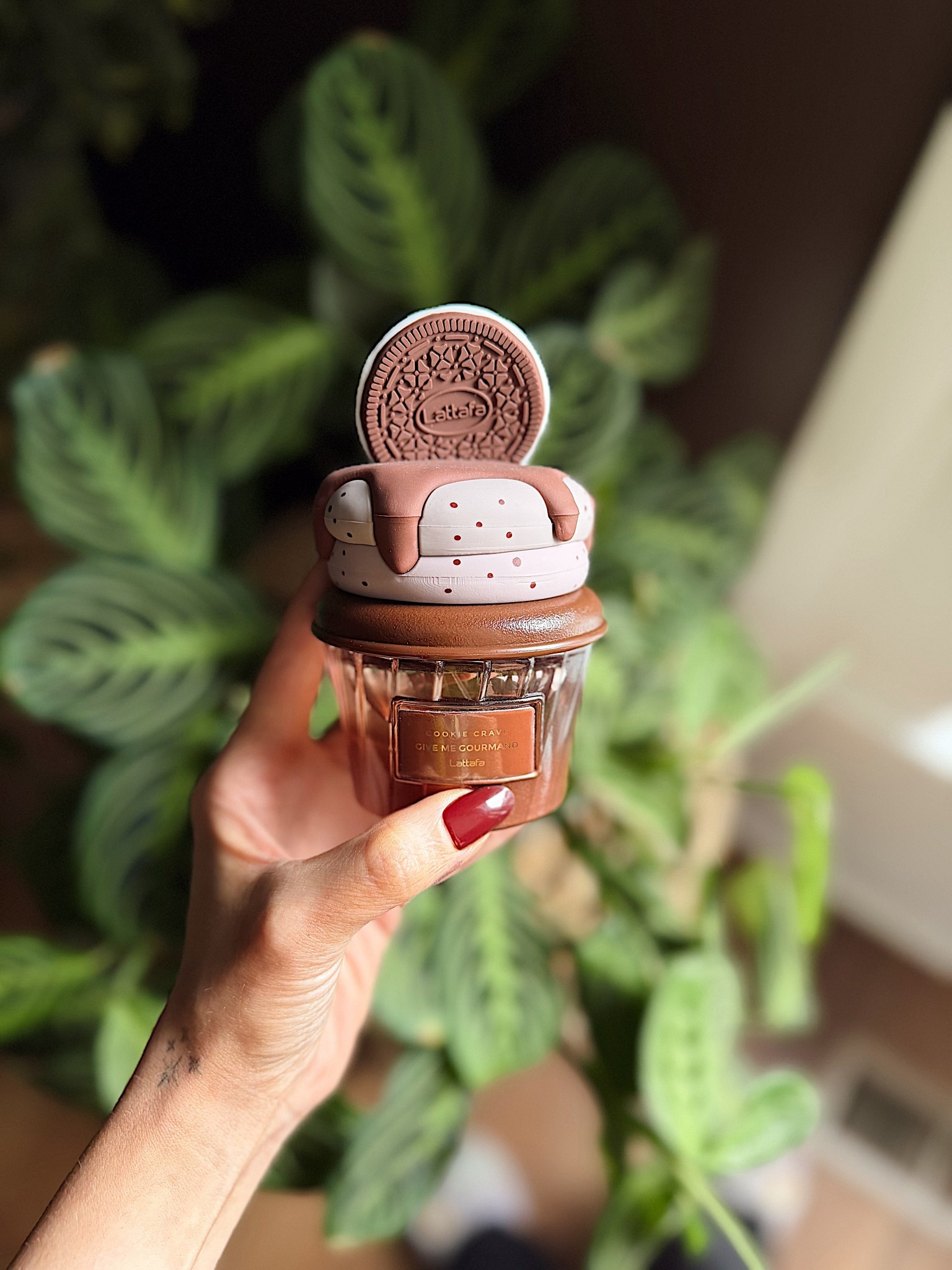 First perfume purchase of 2026 goes to Lattafa Cookie Craze. I am absolutely in love with this elevated creamy chocolate cookie scent! It’s truly making my gourmand lovers heart so happy 🍪
Top Notes- butter, cocoa
Middle - cookie, milk, sugar 
Base Notes- vanilla, whipped cream, sandalwood 

#LTKBeauty #LTKFindsUnder50