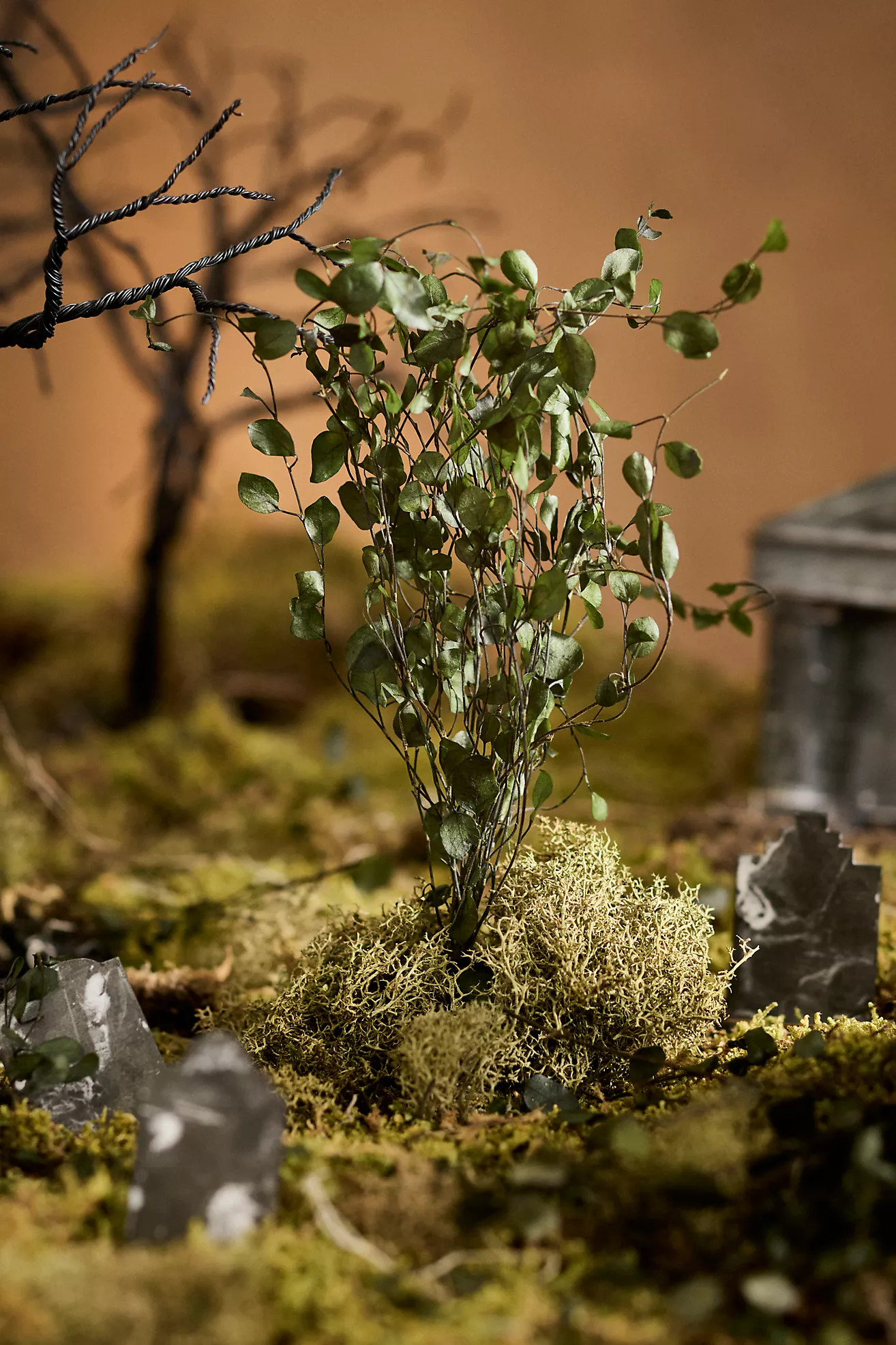 Preserved Muehlenbekia Bunch | Terrain