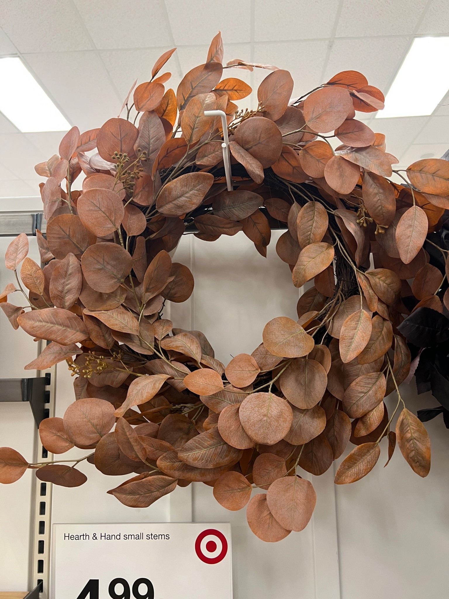 Some of my favorite fall wreaths making their way into Target for the coming season!

#target #homedecor #wreath

#LTKHome #LTKFindsUnder50 #LTKSeasonal