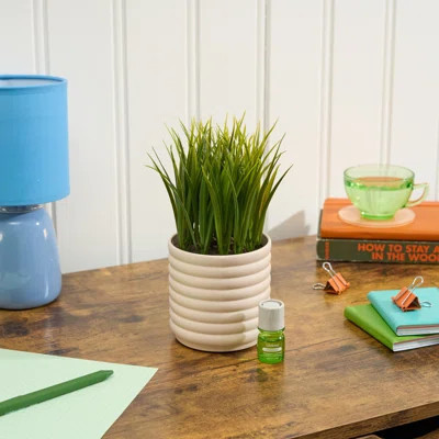 Plant Diffuser - Grass Plant - Bubble White | Wayfair North America