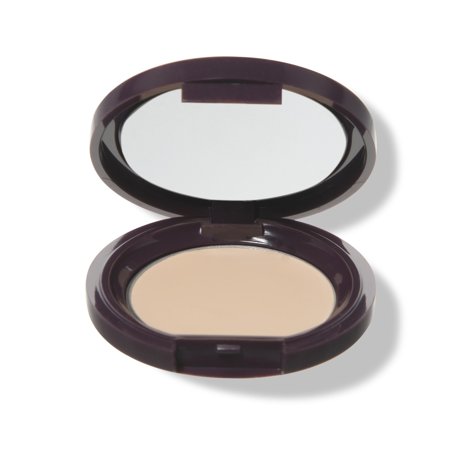 Fruit Pigmented® Long Last Concealer with Super Fruits | 100% PURE