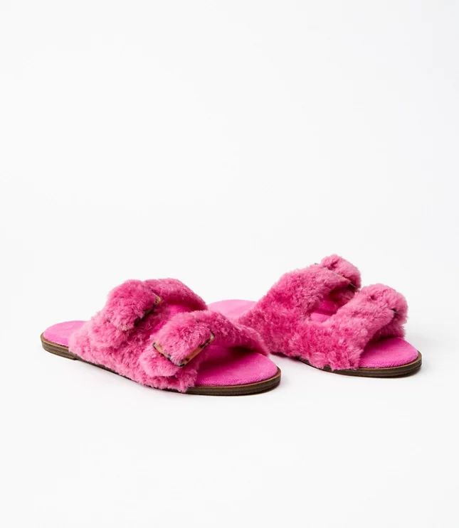 Faux Fur Buckle Slippers | LOFT | LOFT
