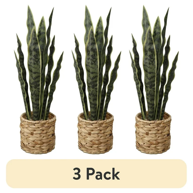 (3 pack) Home Decor Collection Flora Bunda 24.3" Artificial Snake Plant in Rattan Basket | Walmart (US)