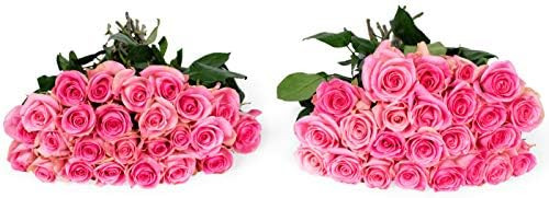 Benchmark Bouquets 50 Light Pink Roses Farm Direct (Fresh Cut Flowers) | Amazon (US)