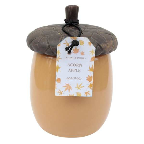 Acorn Apple Scented Acorn Jar Candle, 6oz | At Home