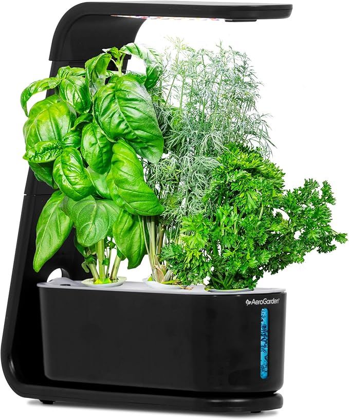 AeroGarden Sprout with Gourmet Herbs Seed Pod Kit - Hydroponic Indoor Garden, Black | Amazon (US)