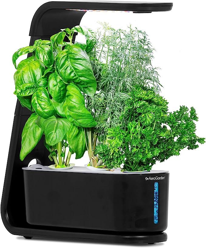 AeroGarden Sprout with Gourmet Herbs Seed Pod Kit - Hydroponic Indoor Garden, Black | Amazon (US)