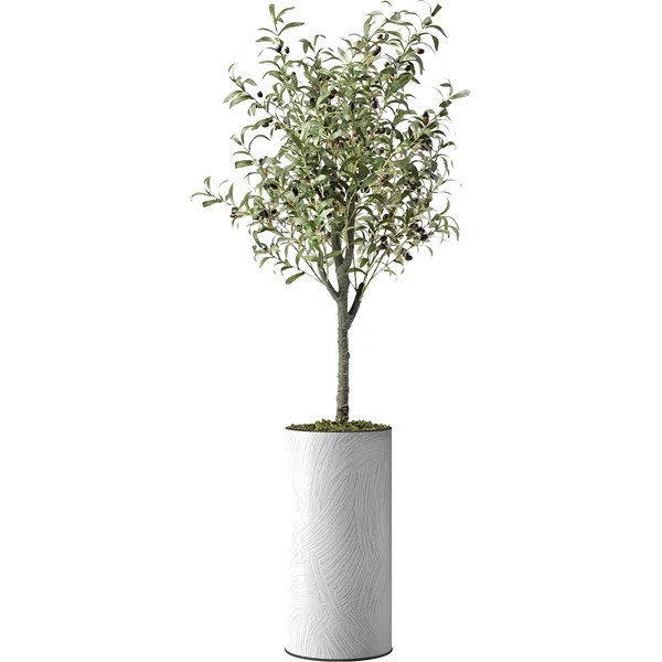 Artificial Tree In Modern Planter, Fake Olive Silk Tree Home Decoration (Plant Pot Plus Tree) | Wayfair North America