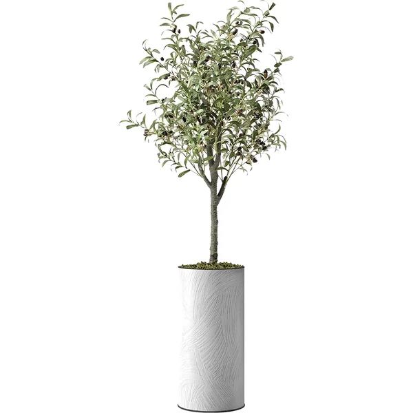 Artificial Tree In Modern Planter, Fake Olive Silk Tree Home Decoration (Plant Pot Plus Tree) | Wayfair North America