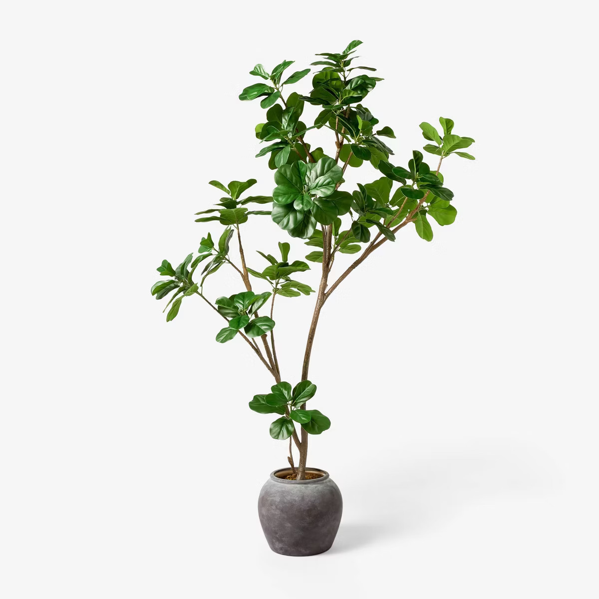 6 ft Artificial Leaf Fig Tree Dark Green - Threshold™ designed with Studio McGee | Target