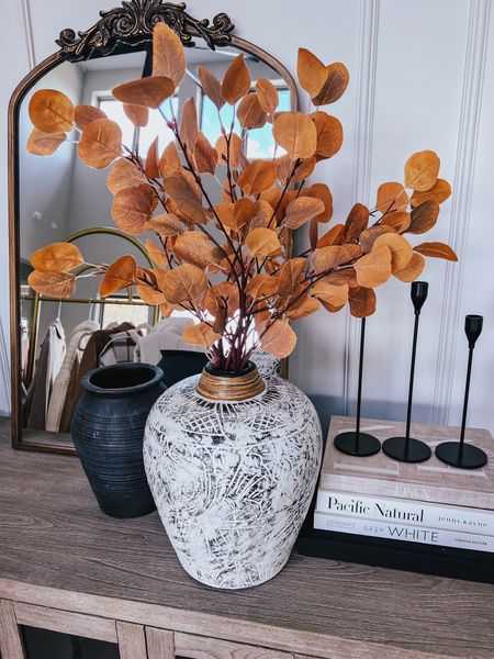 My favorite branches from Amazon for the fall + my new designer look for less vase! #founditonamazon 

#LTKSeasonal #LTKhome #LTKfindsunder50