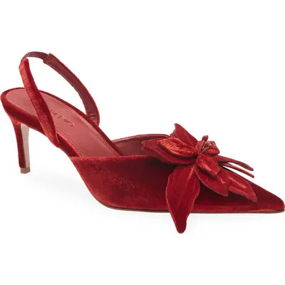 FARM Rio Flower Velvet Slingback Pump in Oriole at Nordstrom, Size 7 | Nordstrom
