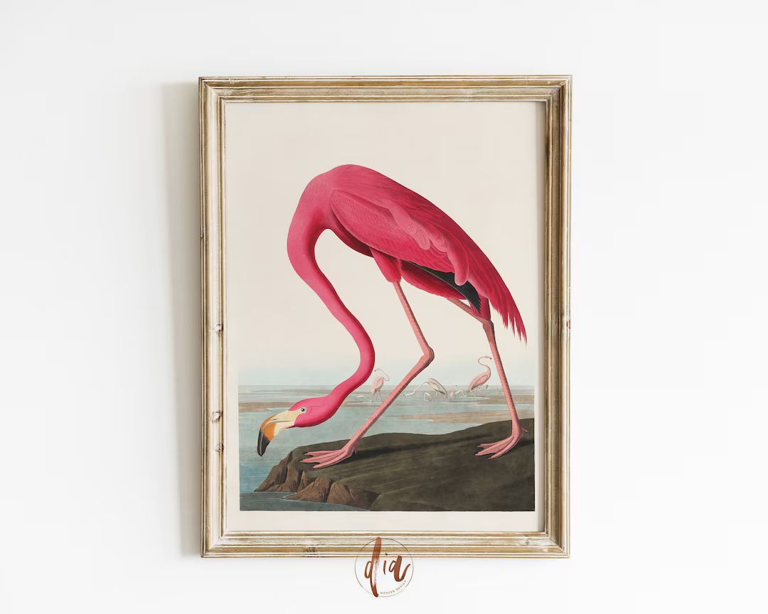 Eclectic Gallery Wall Print, Vintage Pink Flamingo Illustration, Aesthetic Room Decor, Retro Flam... | Etsy (CAD)