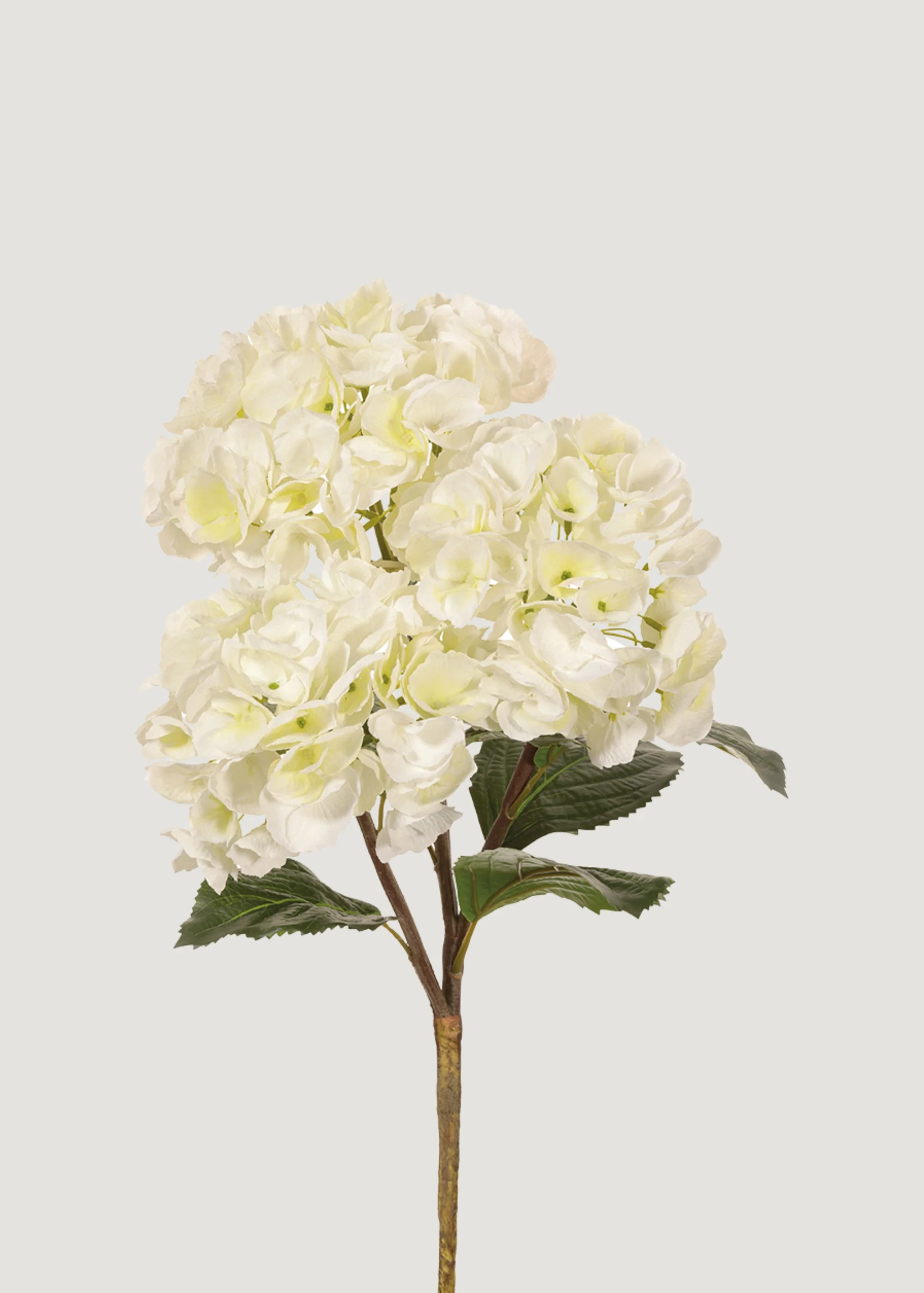 Large Hydrangea in Cream White | Faux Wedding Flowers | Afloral | Afloral