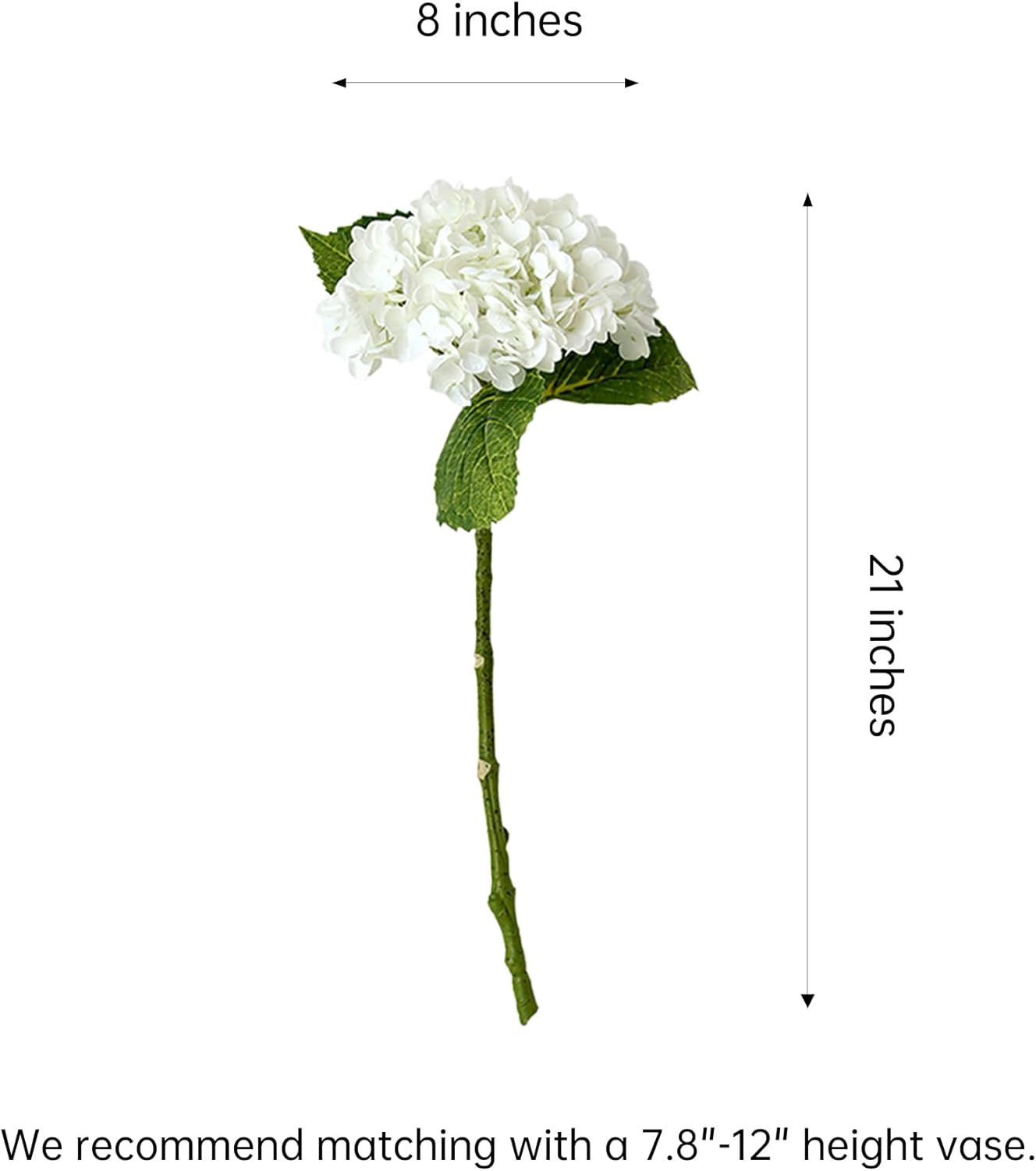 Visit the grtefhu Store | Amazon (US)