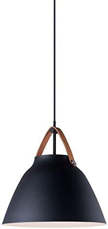 Maxim 11356TNBK Nordic Scandinavian Metal Spun Pendant Ceiling Light, 1-Light 60 Watt, 15"H x 14"... | Amazon (US)