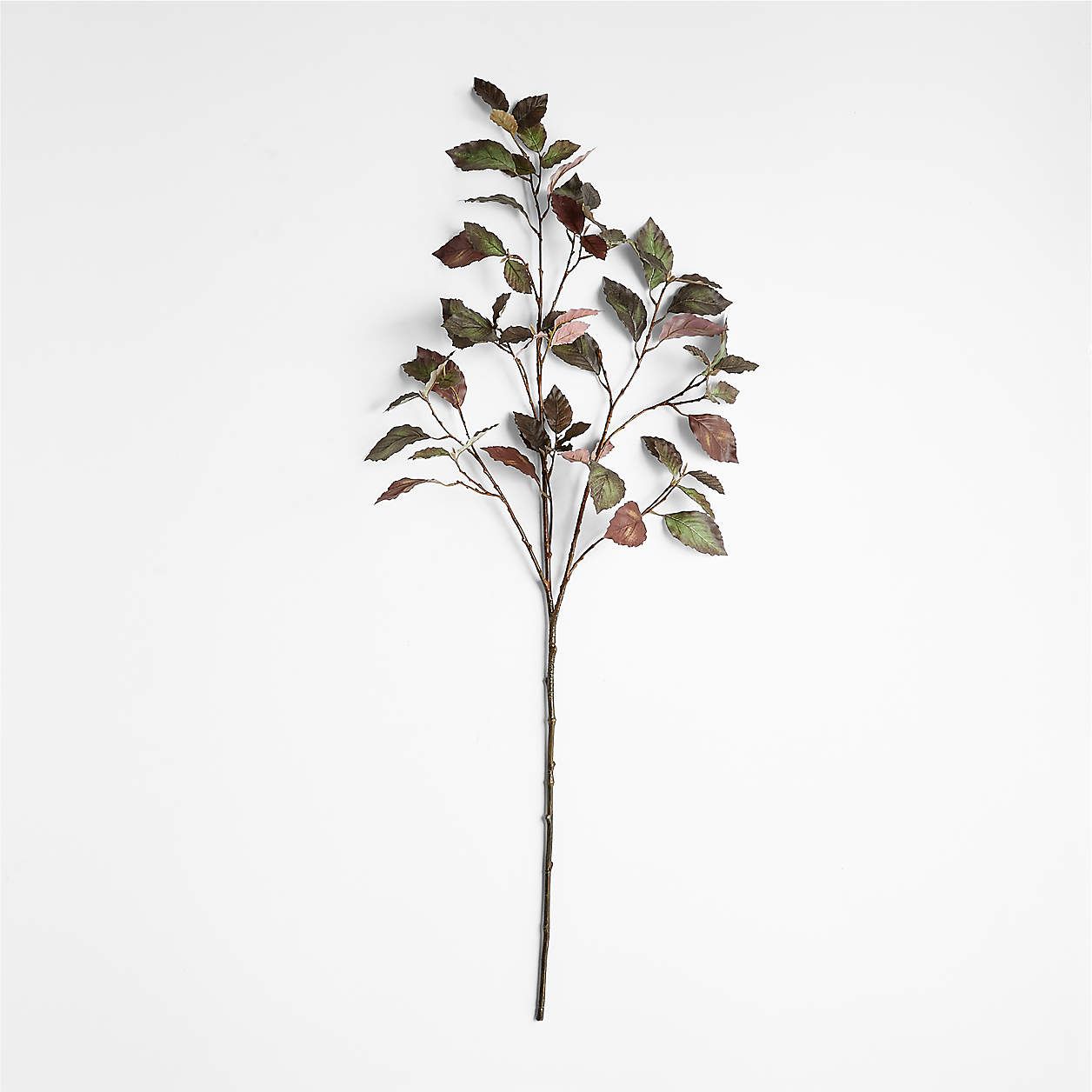 Artificial/Faux Plum Leaf Beech Branch 38" + Reviews | Crate and Barrel | Crate & Barrel