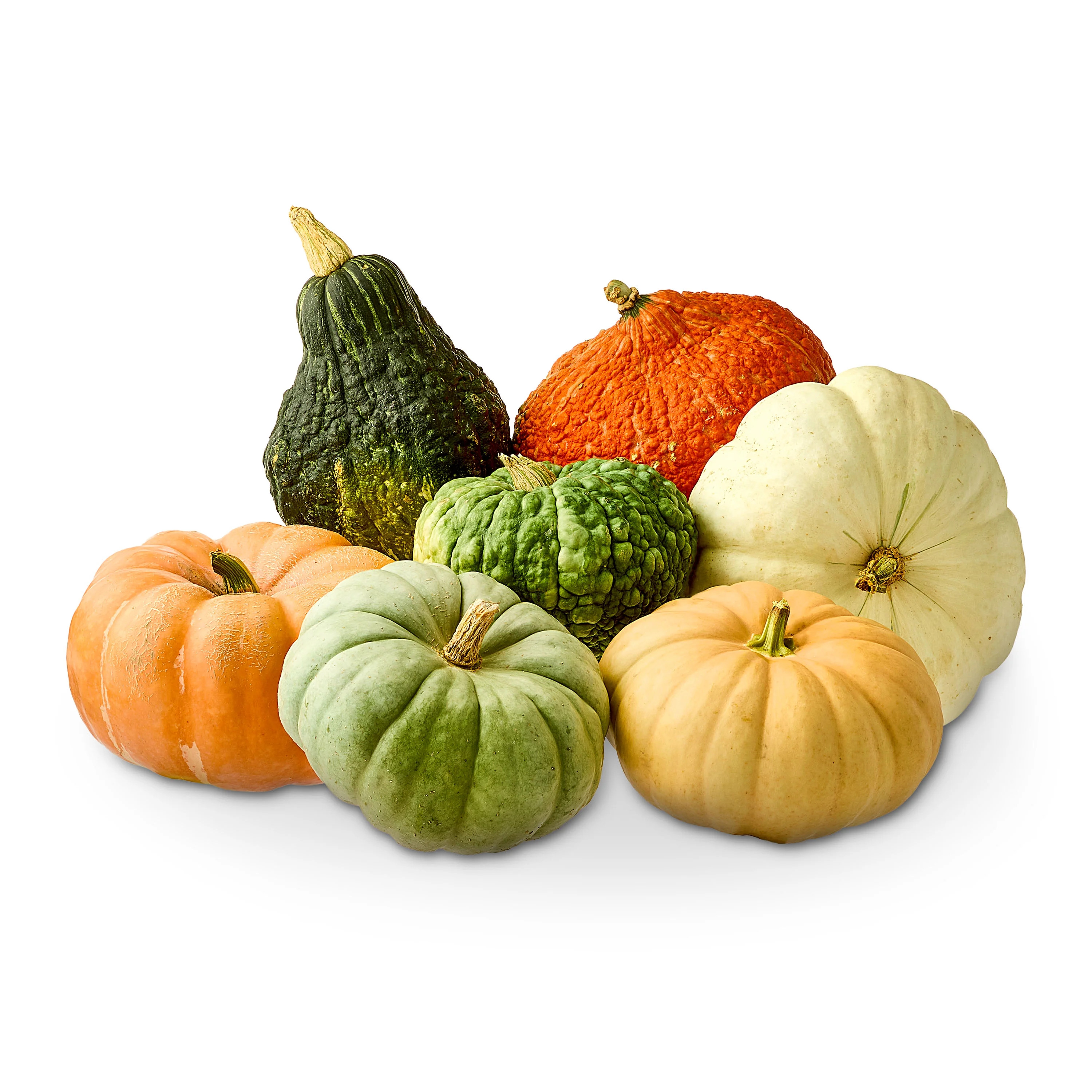 Autumn Pumpkins, Each (Color and Variety May Vary) - Walmart.com | Walmart (US)