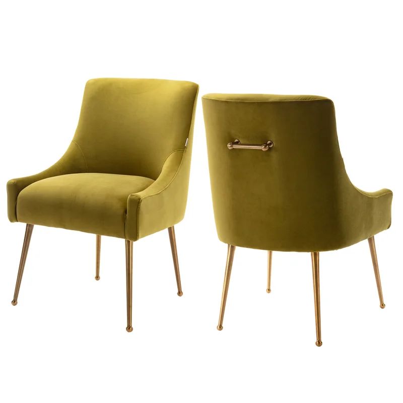 Magallanes Velvet Upholstered Side Chair (Set of 2) | Wayfair North America