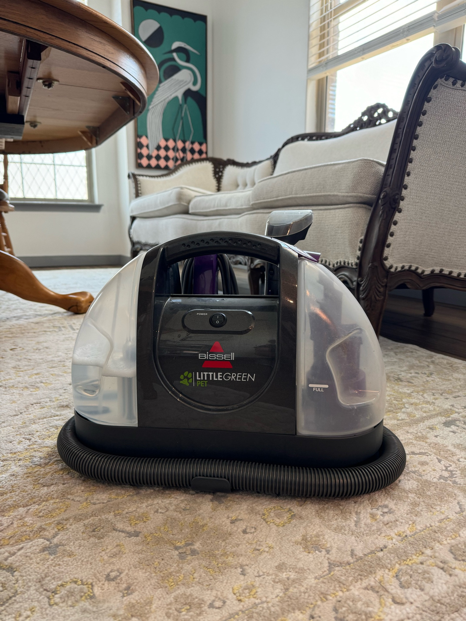 This is probably the only item for the Amazon prime sale that id shop for again and again. It’s a lifesaver when the pets puke all over our light rugs!

#LTKHome #LTKSaleAlert #LTKFindsUnder100