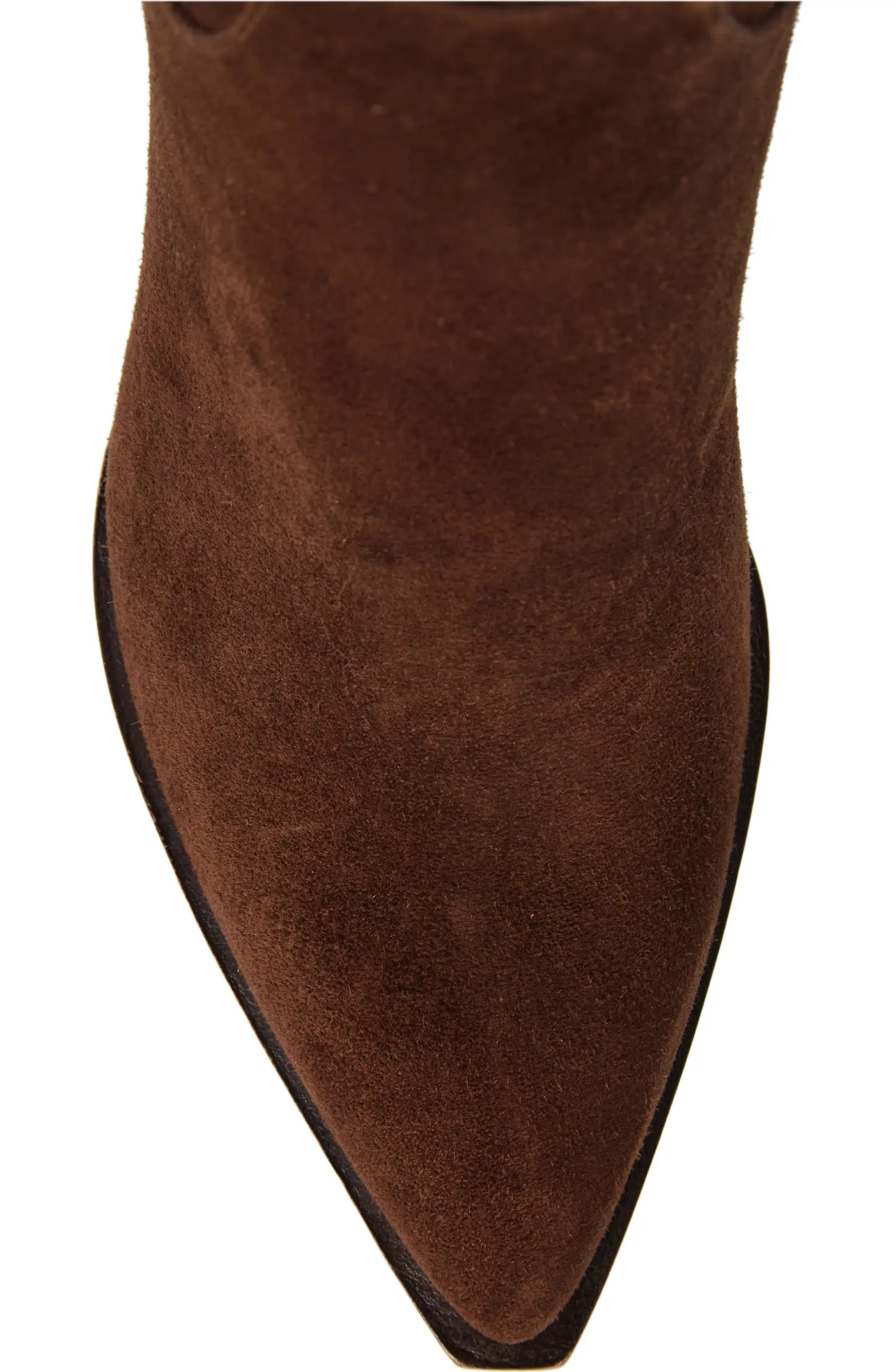 Annika Pointed Toe Boot (Women) | Nordstrom