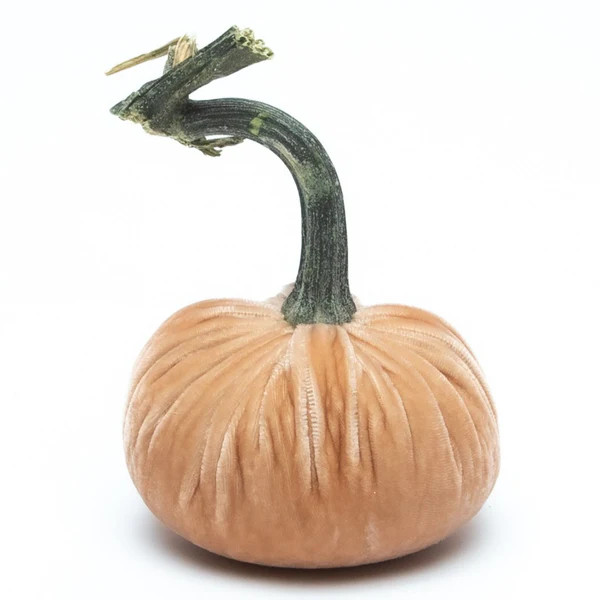 NEW Sandstone Silk Velvet Pumpkin | Hot Skwash