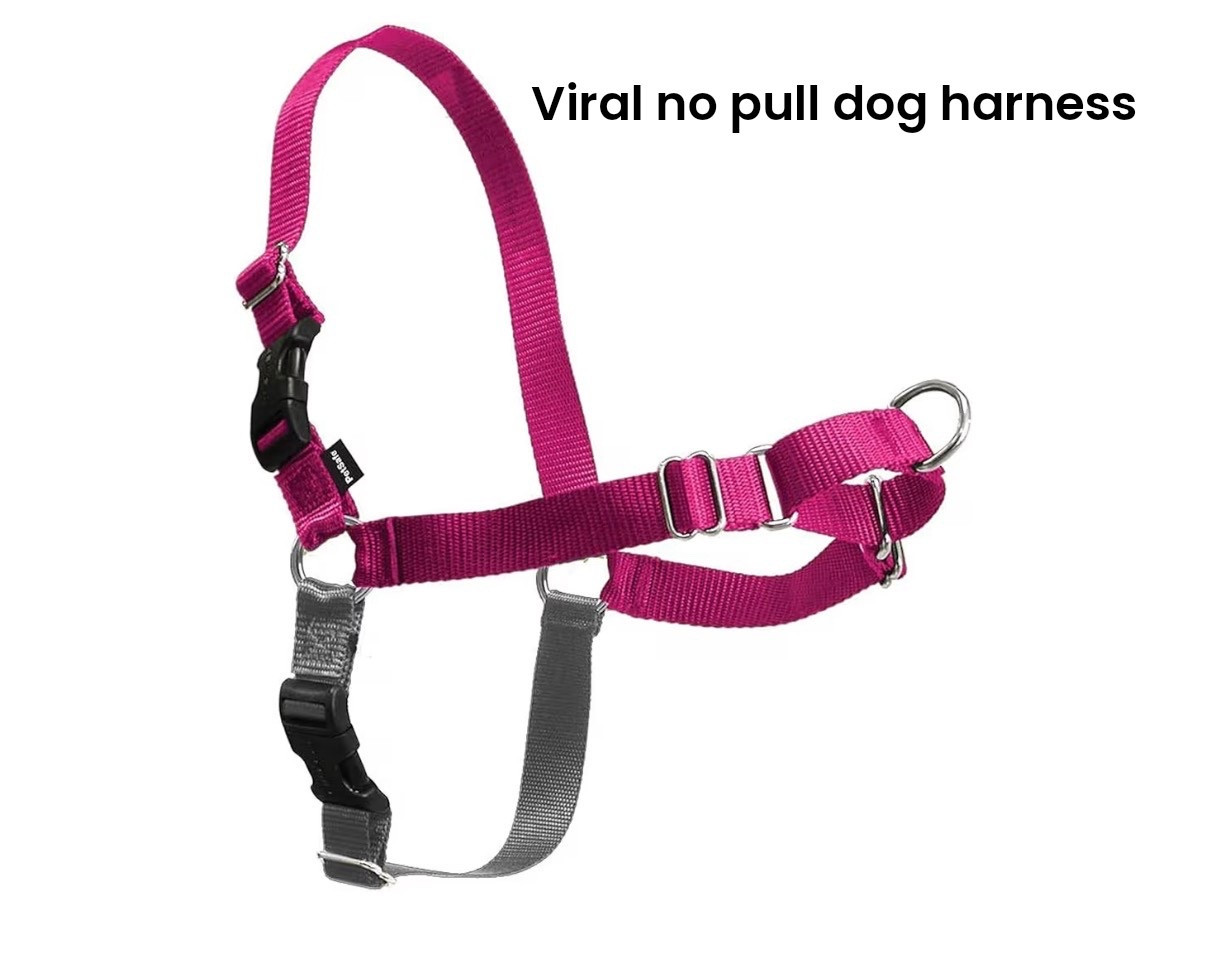 This viral no pull dog harness is safe for pups and puts less strain on their necks vs a regular collar. 

Dogs, collar, harness, leash, pets 

#LTKSpringSale #LTKActive #LTKHome