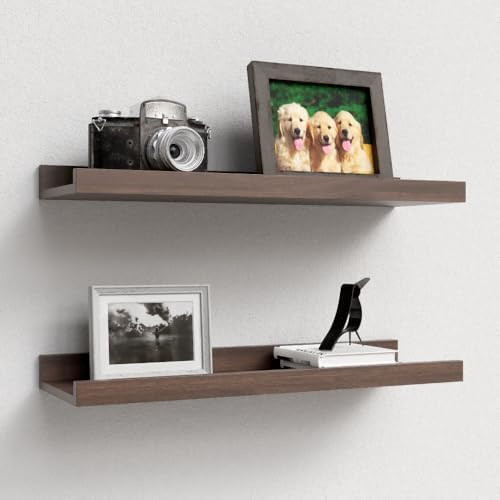 Floating Shelves Set of 2, Farmhouse Wall Shelves with Lip, Display Picture Ledge Shelf for Bedro... | Amazon (US)