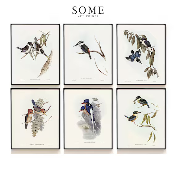 Audubon Bird Print Set of 6 . Vintage Bird Art Prints . Bird Lover Gift . Kingfisher Print Set . ... | Etsy (US)