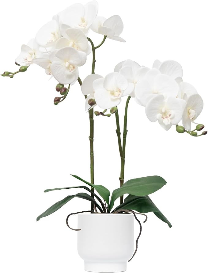 CXGS Orchids Artificial Flowers Real Touch Fake Flowers in Ceramic Pot 20" White Faux Orchid Plan... | Amazon (US)