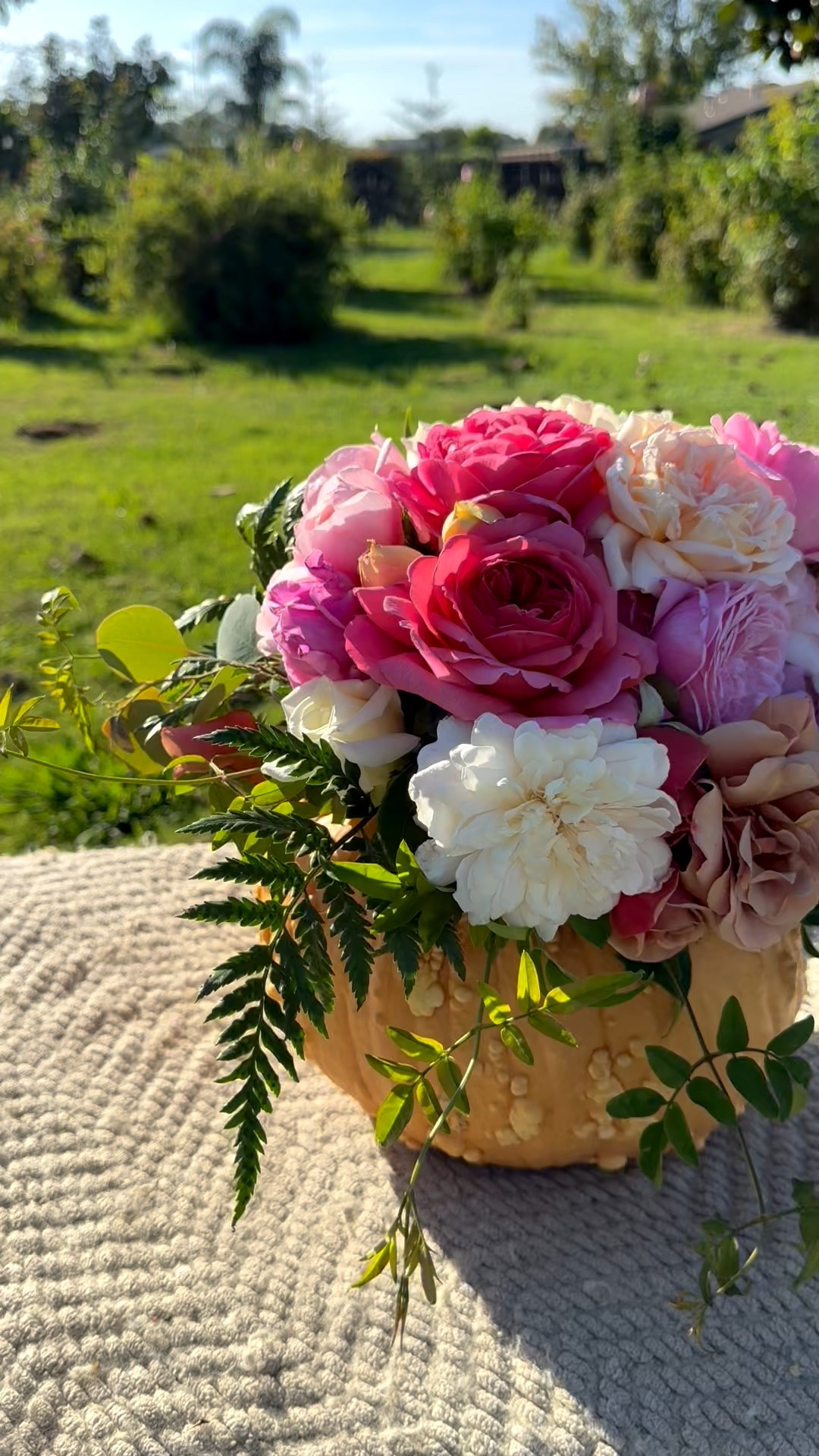 Halloween party centerpiece. DIY pumpkin floral arrangement with homegrown grizzly bear pumpkins and fresh garden roses from my family flower farm! ❤️

#LTKHalloween #LTKHome #LTKSeasonal