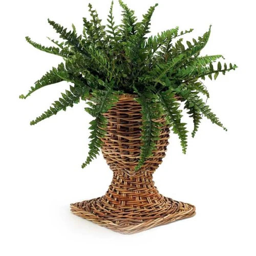 Mainly Baskets | Dashing Trappings