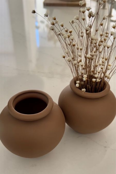 Small bud vase
Target 

#LTKhome #LTKunder50 #LTKSeasonal
