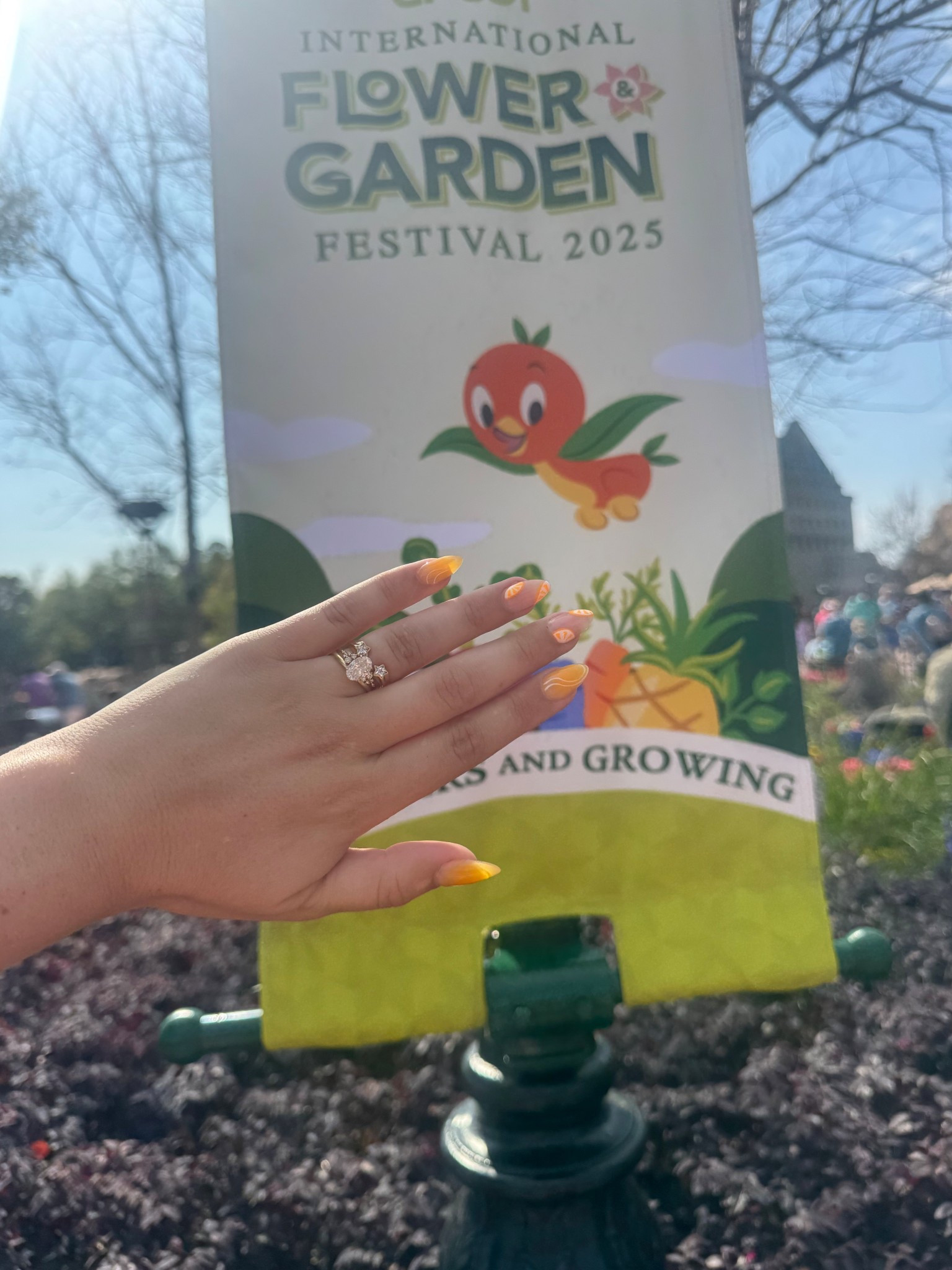 Hidden mickey rings